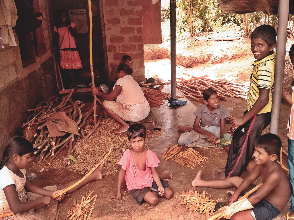 True Cinnamon 50 g - Sri Lanka