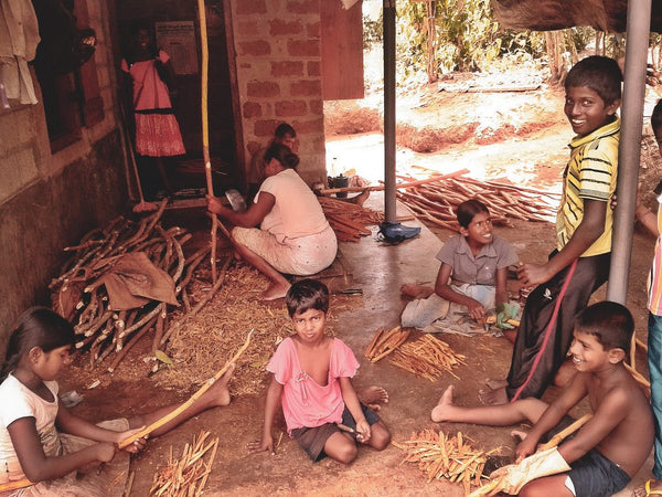 True Cinnamon 50 g - Sri Lanka