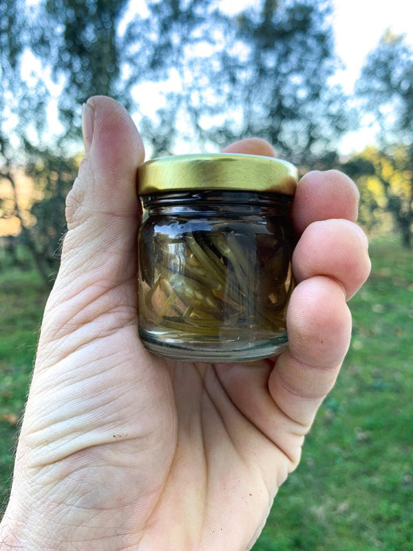 Pickled Wild Garlic Buds