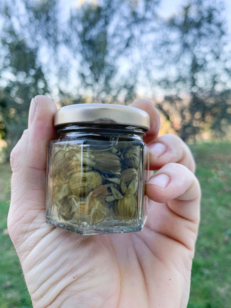 Pickled Plantain Buds