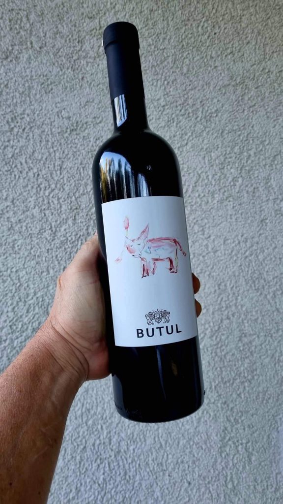 Refošk - Mali Boškarin - 2017