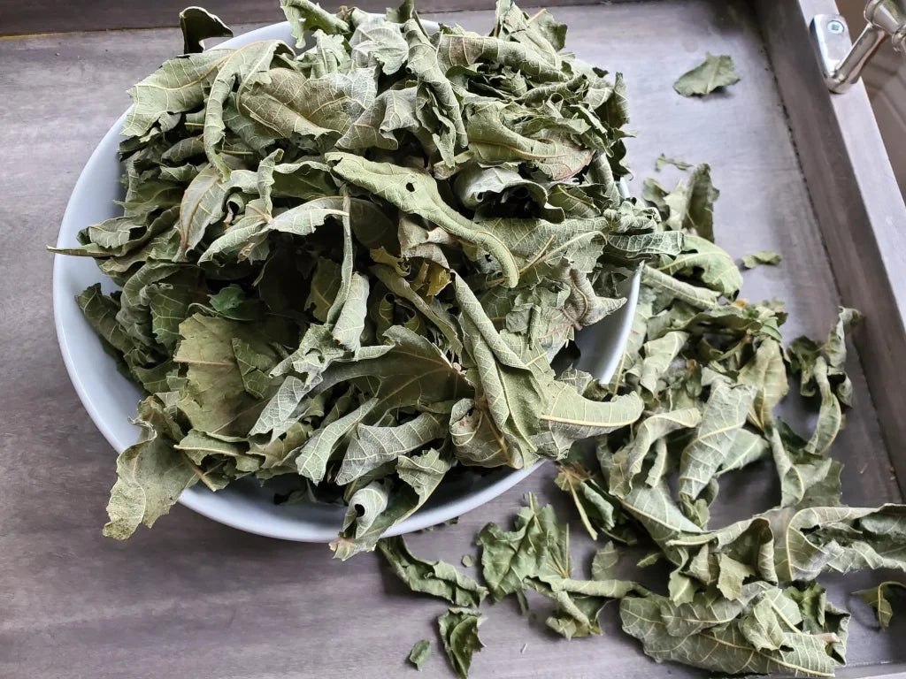 Fig Leaf Tea 30 g