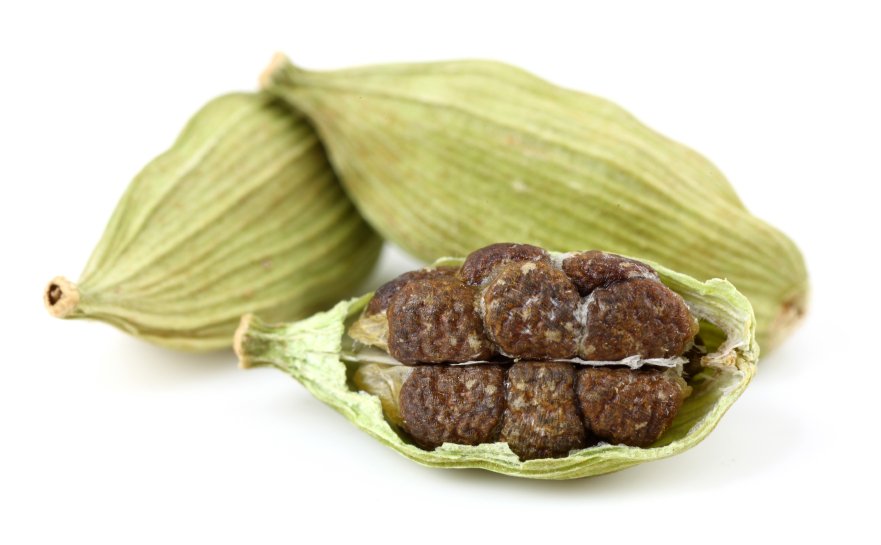 Kardamom - Semena 25 g