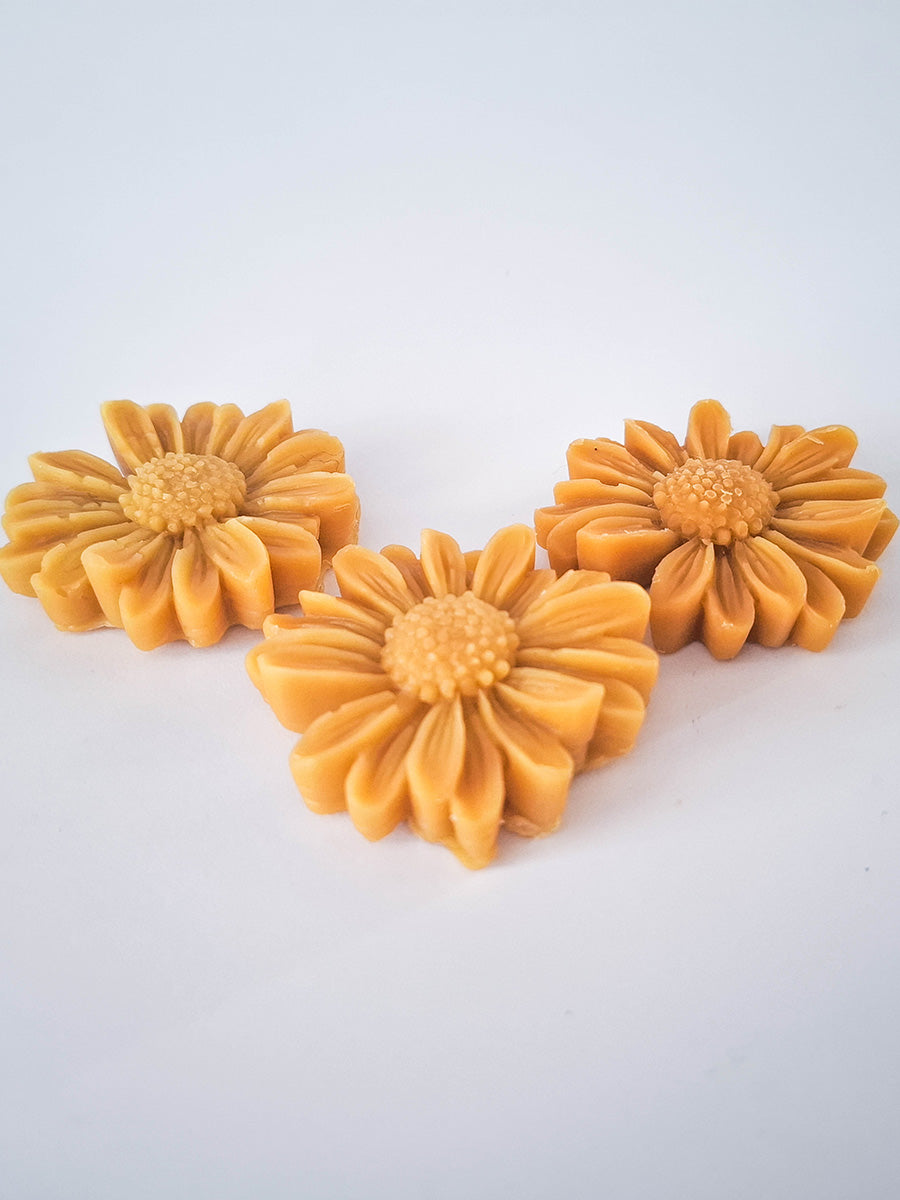 Beeswax Ornament Ivanjščica