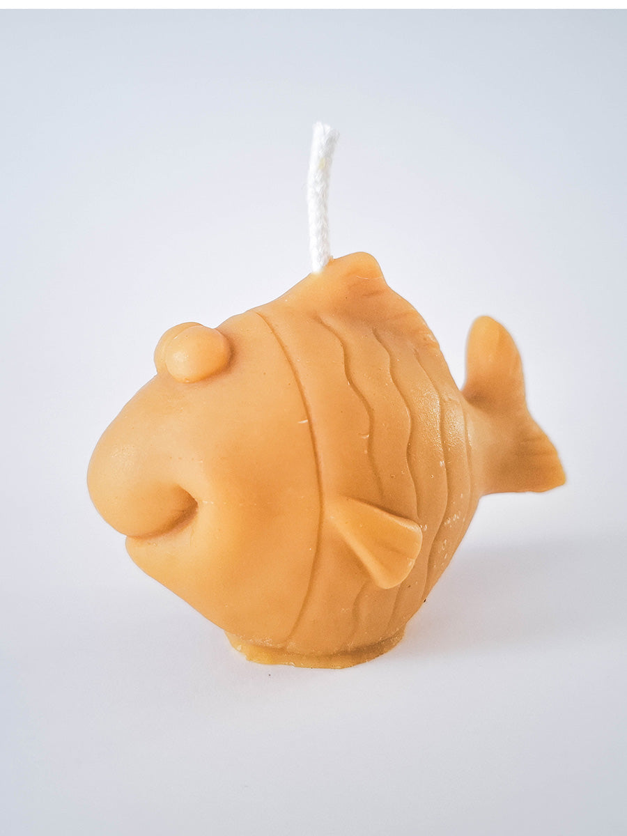 Fish Package