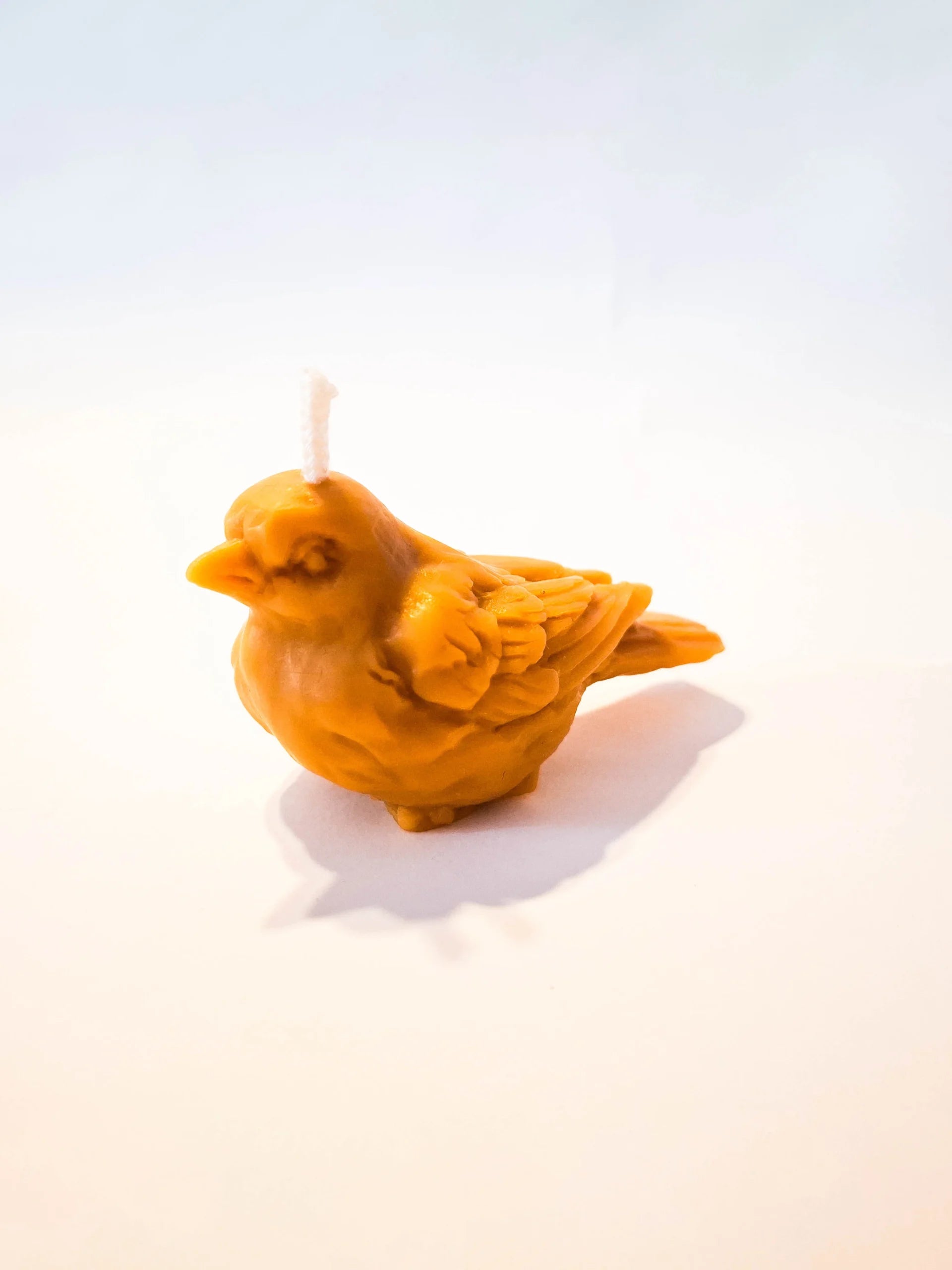 Candle Bird