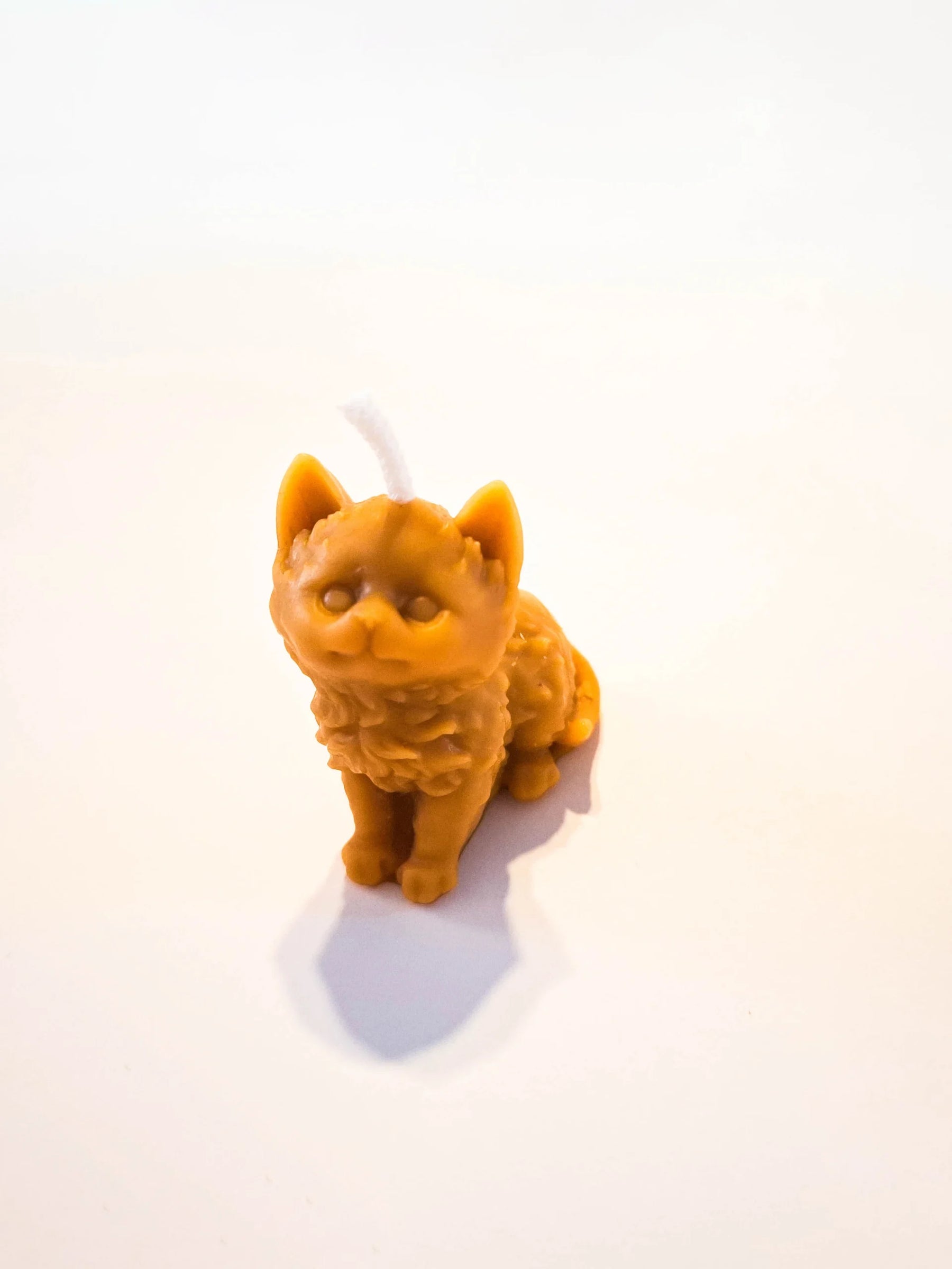 Kitten Candle
