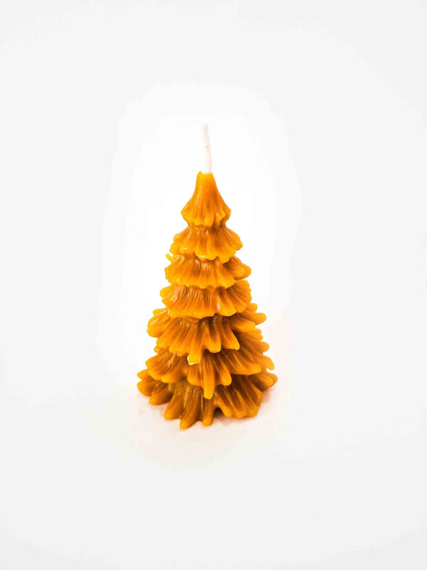 Natural Spruce Candle