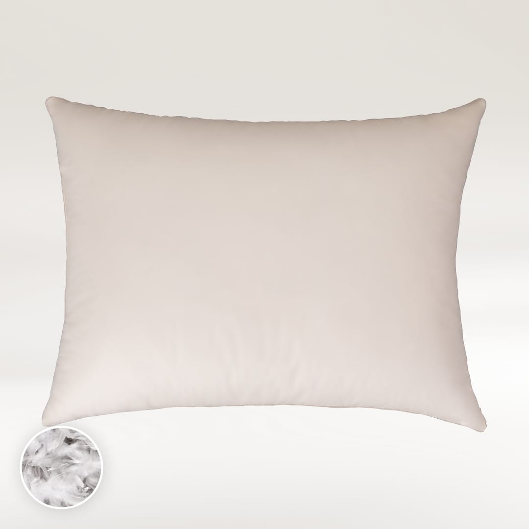 Aeli package (down/feather) Prestige blanket + 1x pillow