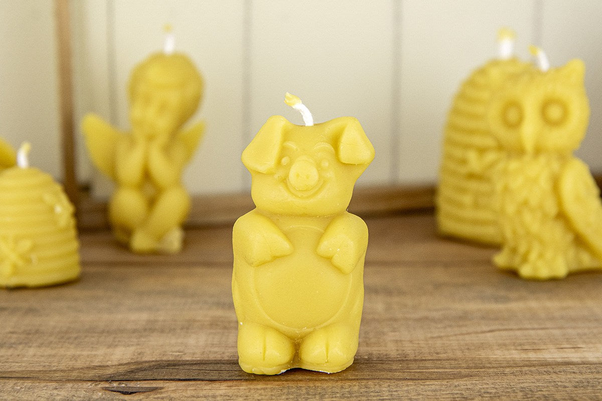 voscena sveca cebelarstvo pislak bali Pujsek 1