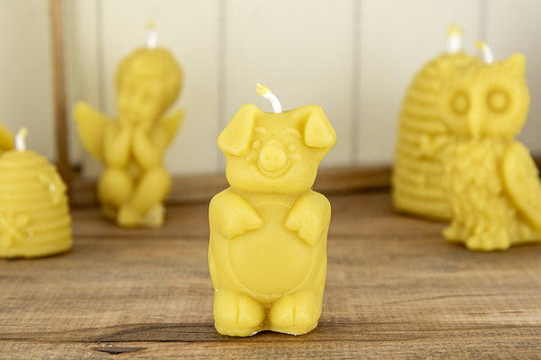 voscena sveca cebelarstvo pislak bali Pujsek 1