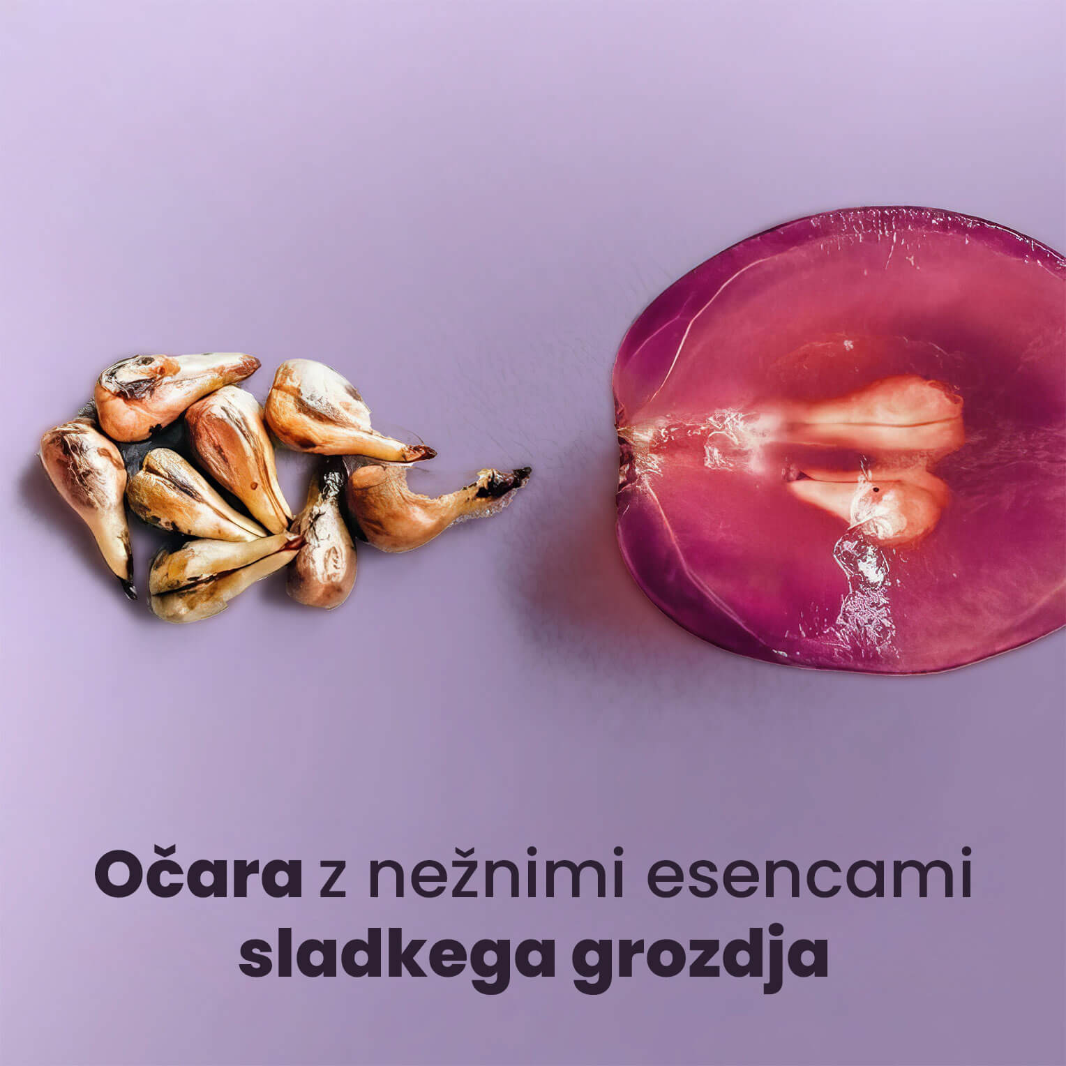 WINE ENERGY Night Cream for Face