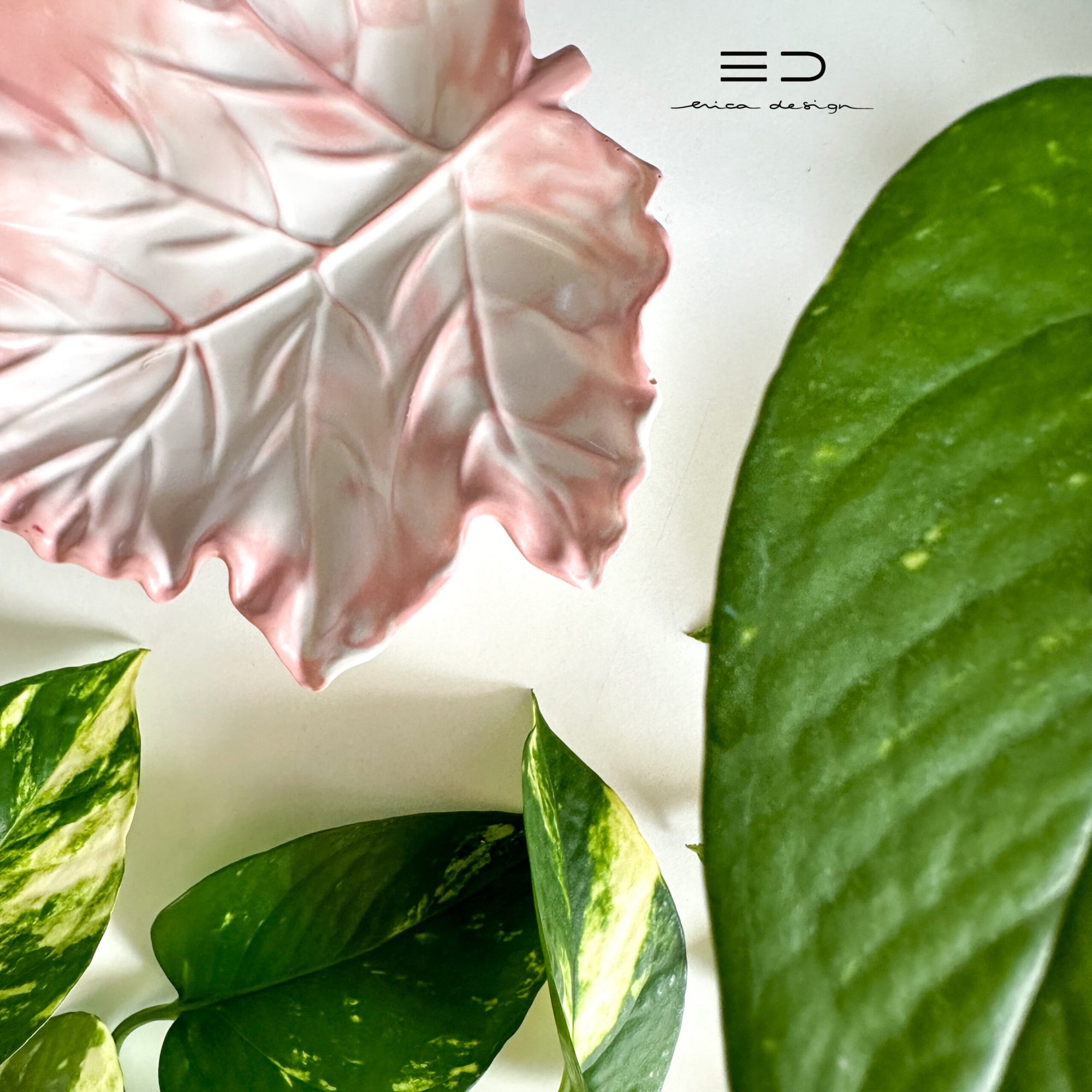 decorative bowl | MAPLE