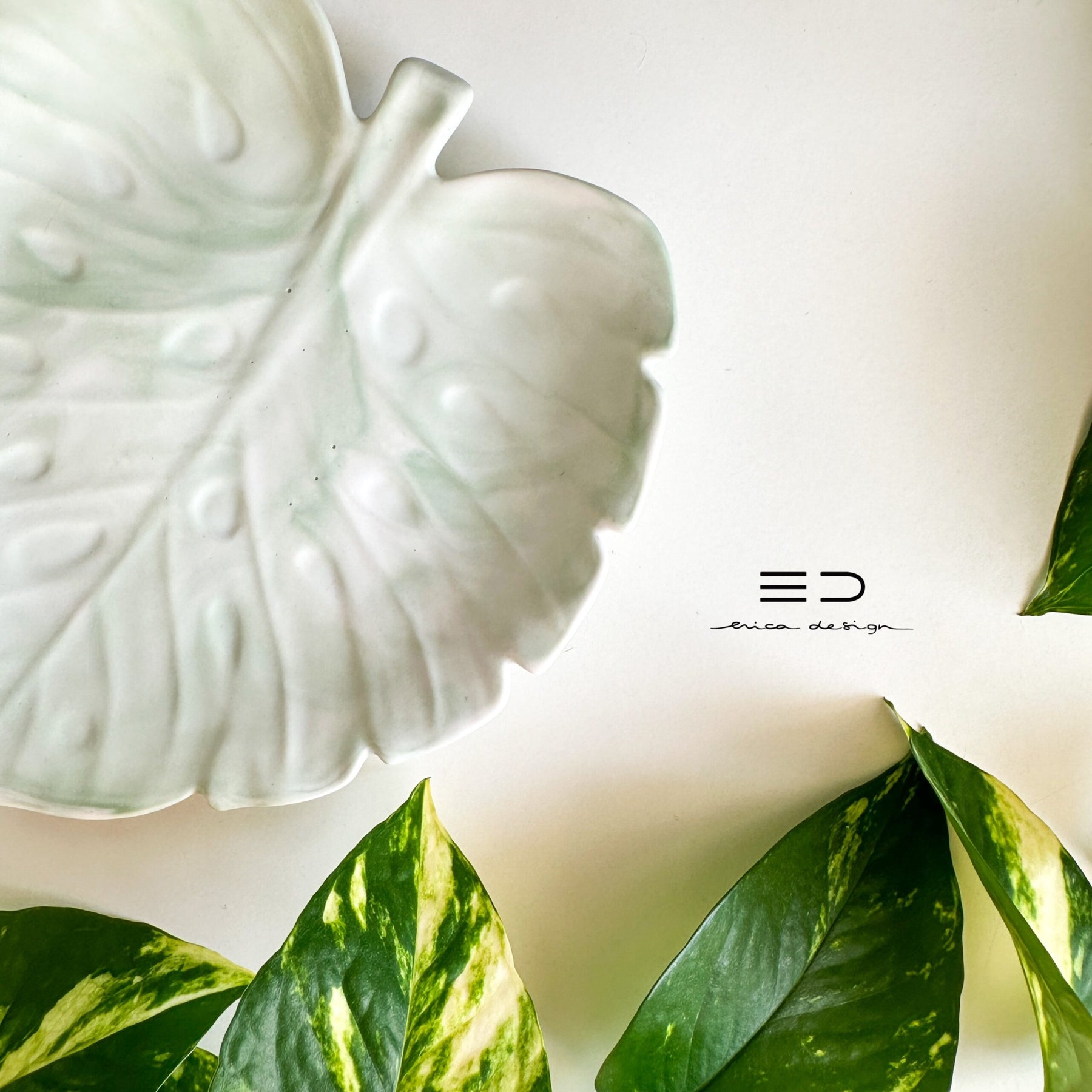 decorative tray monstera | green