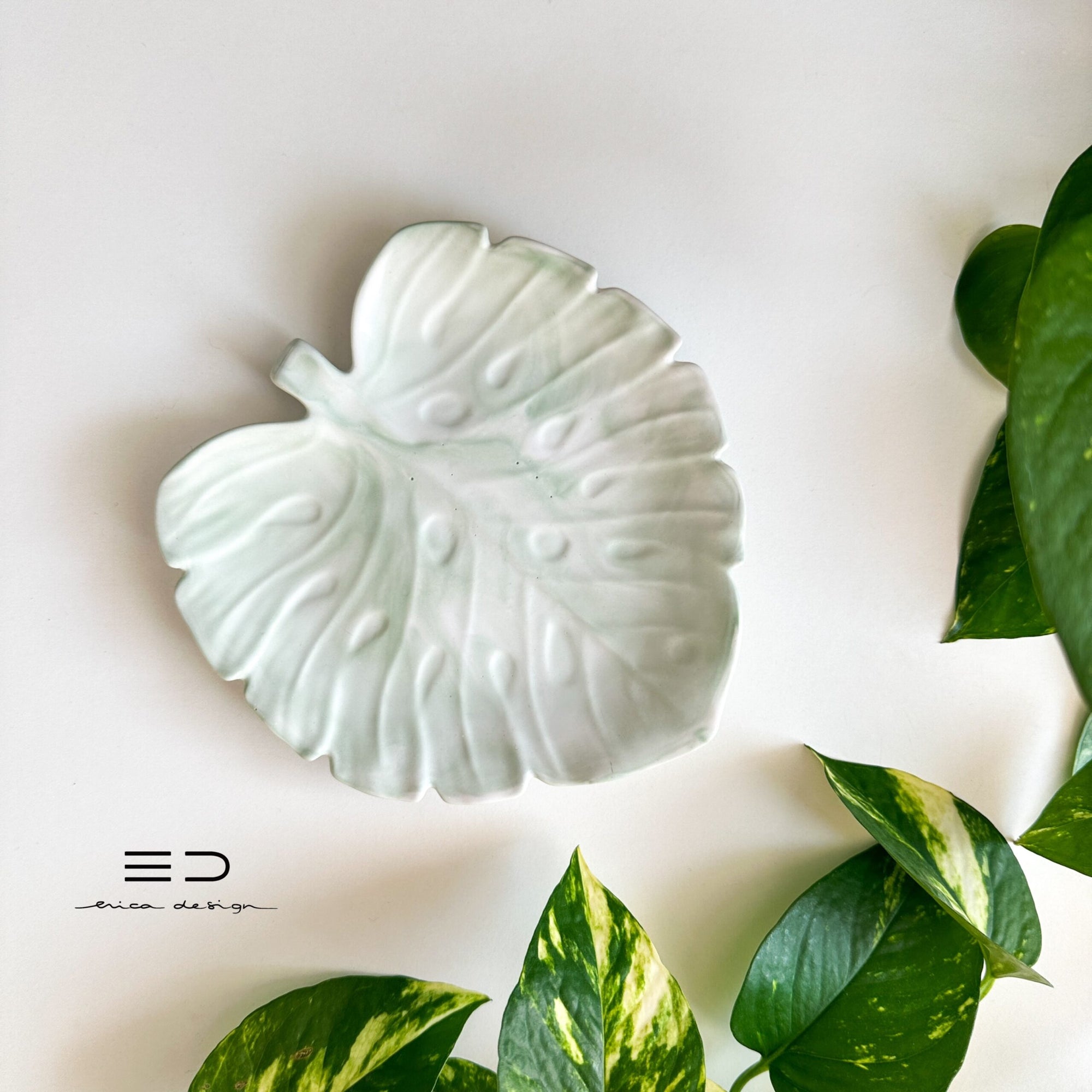 decorative tray monstera | green