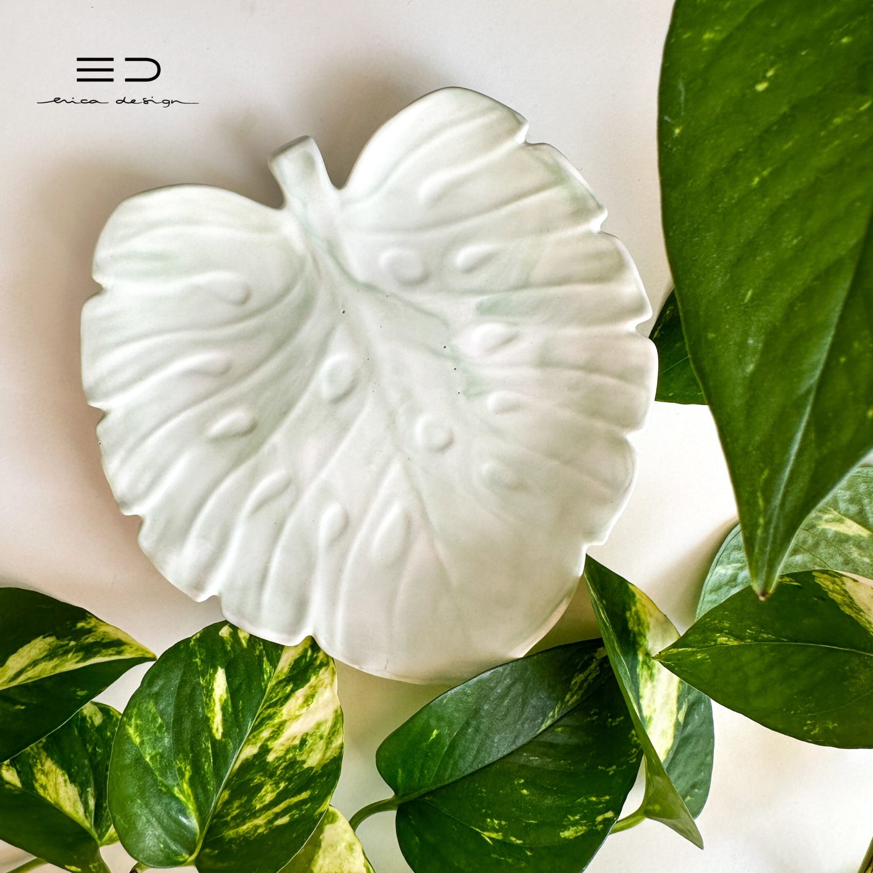 monstera decorative tray | green