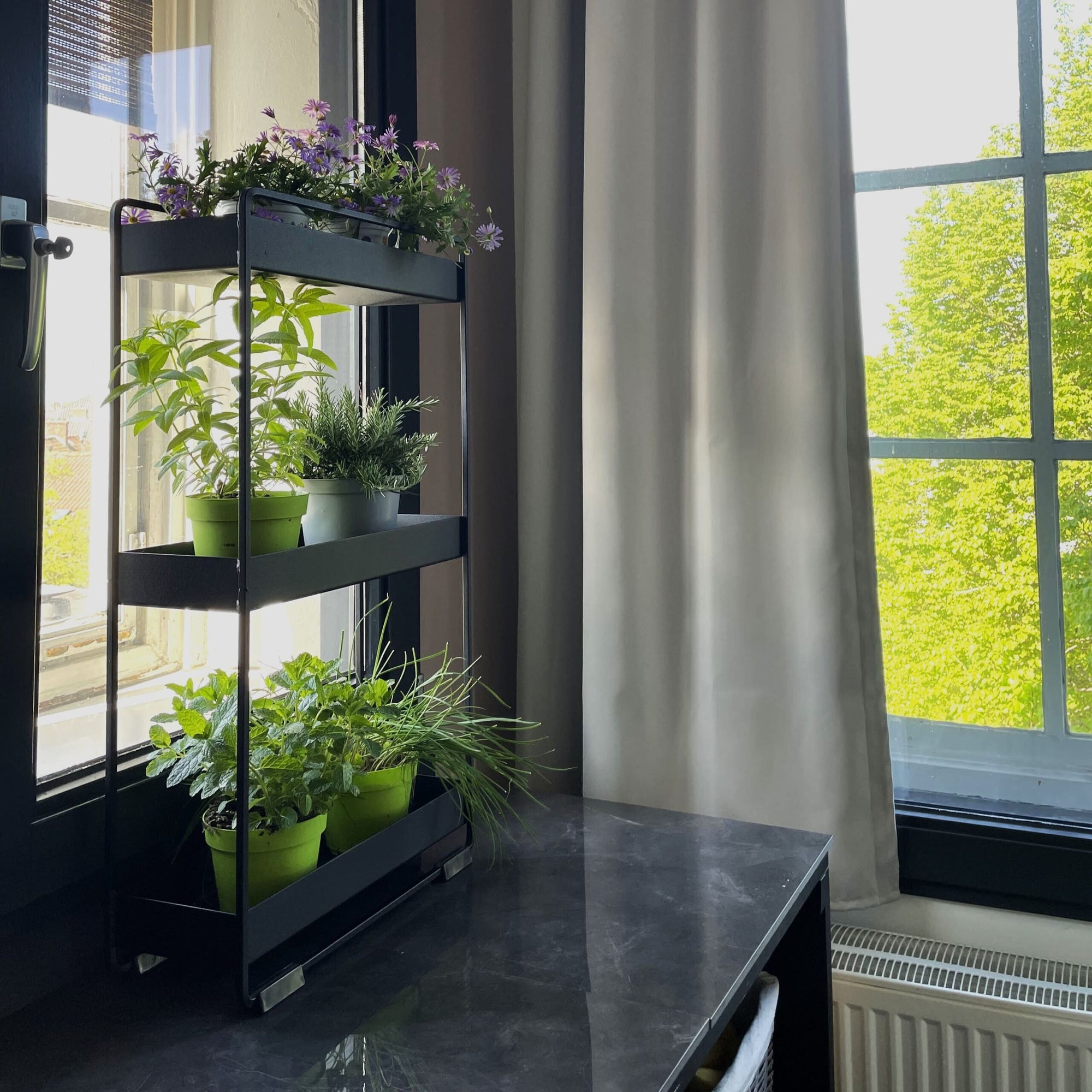 Industriële Plantenrek - Keukenrek