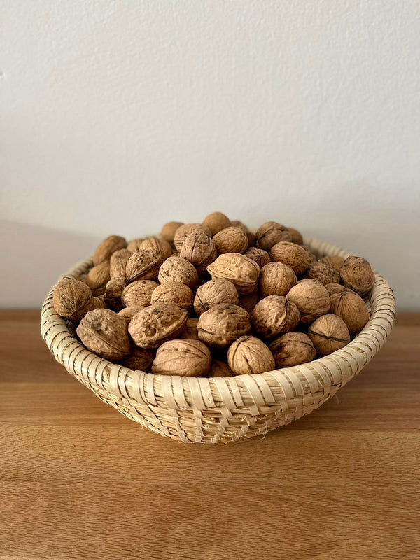 Walnuts in the shell