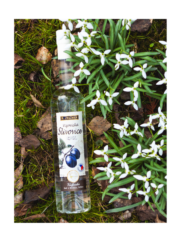 Vizovice Plum Brandy 2022 Valjevka 50% 0.7l
