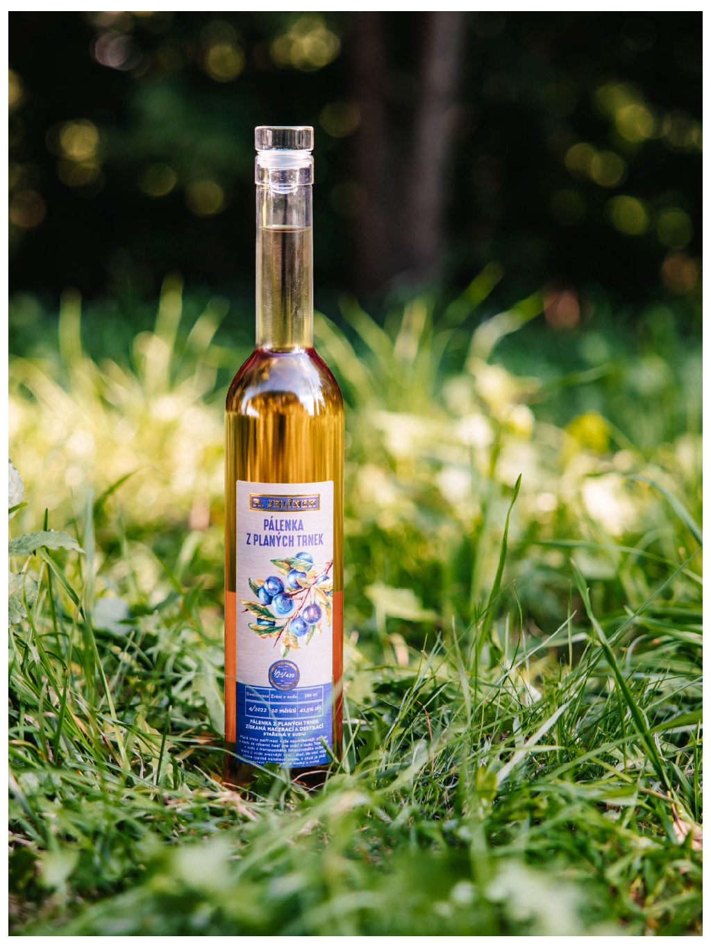 Wild Sloe Brandy 2022 from Barrel 41.5% 0.5l