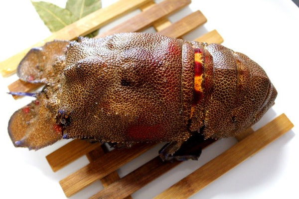 Royal Crawfish - Sea Cicada
