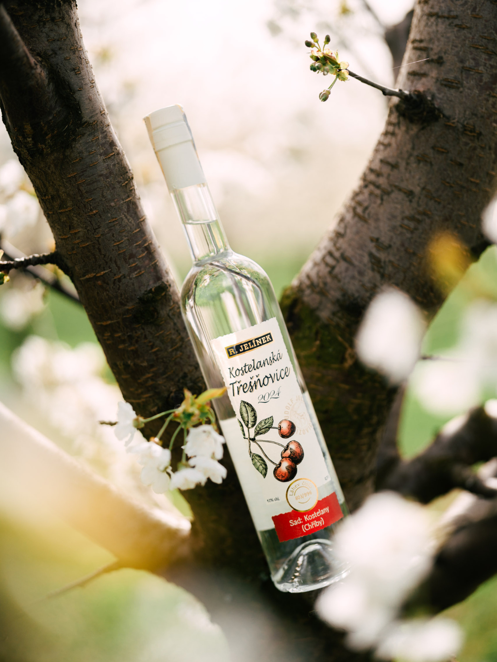 Kostelanská Cherry Brandy 2024 42% 0.7l