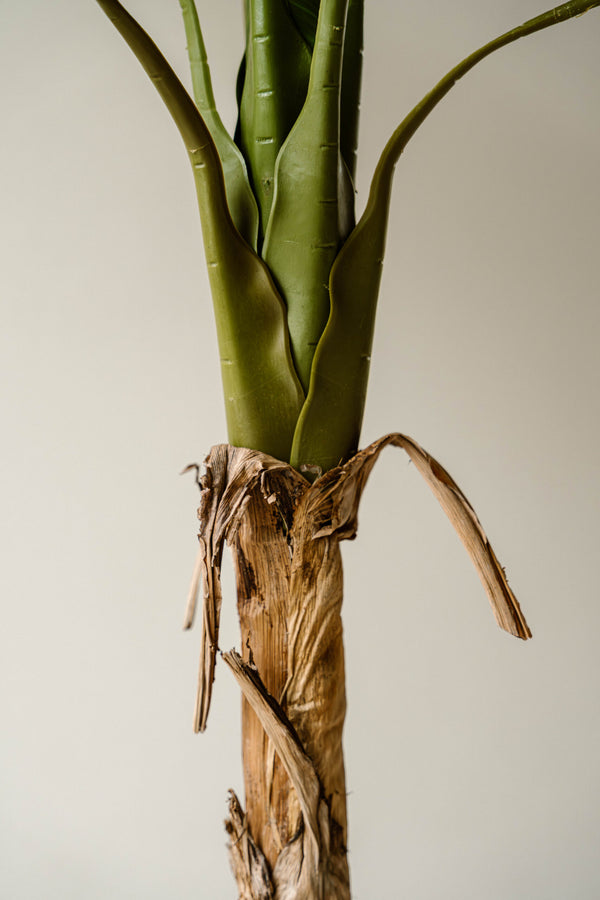 Indore Silva - Artificial Banana Plant - 120cm