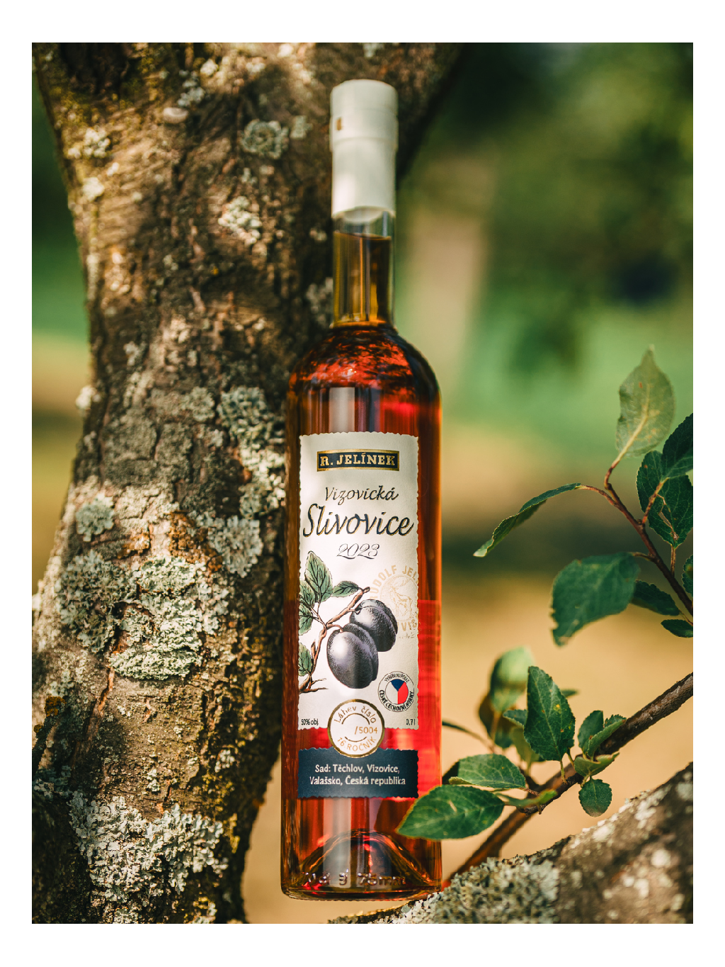 Vizovice Plum Brandy 2023 50% 0.7l