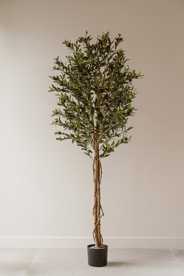 Indore Home - Artificial Olive Tree - 180cm - Delivery time 1-2 weeks