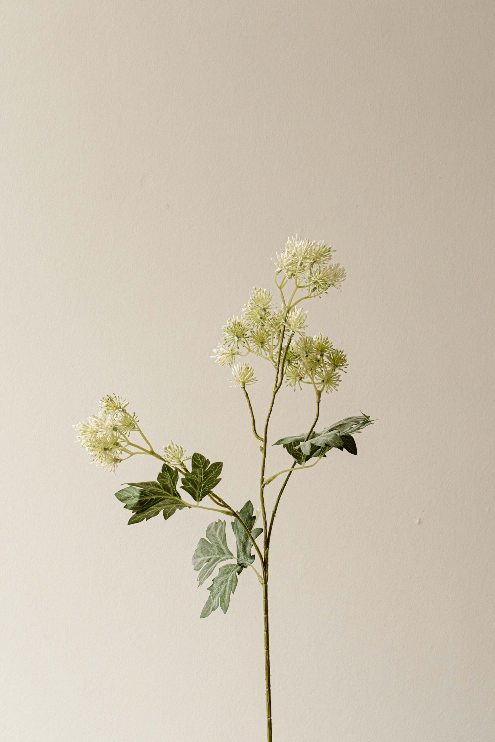 Indore Silva - Orlaya - Green - artificial branch - silk