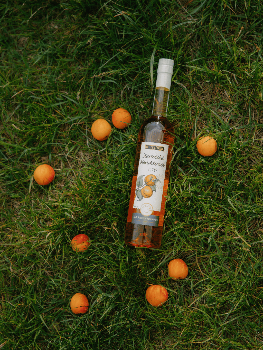 Starovice Apricot Brandy 2025 42% 0.7l