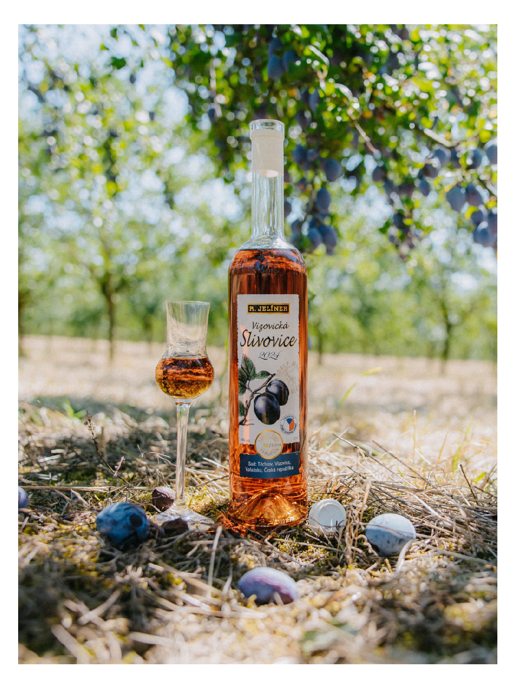 Vizovice Plum Brandy 2024 50% 0.7l