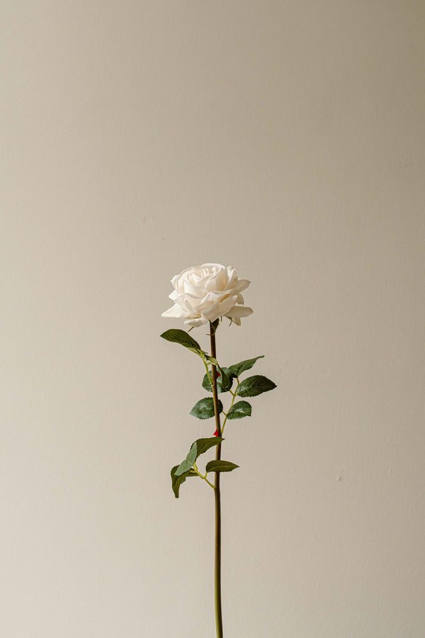 Indore Silva - Rose - white - artificial branch - silk