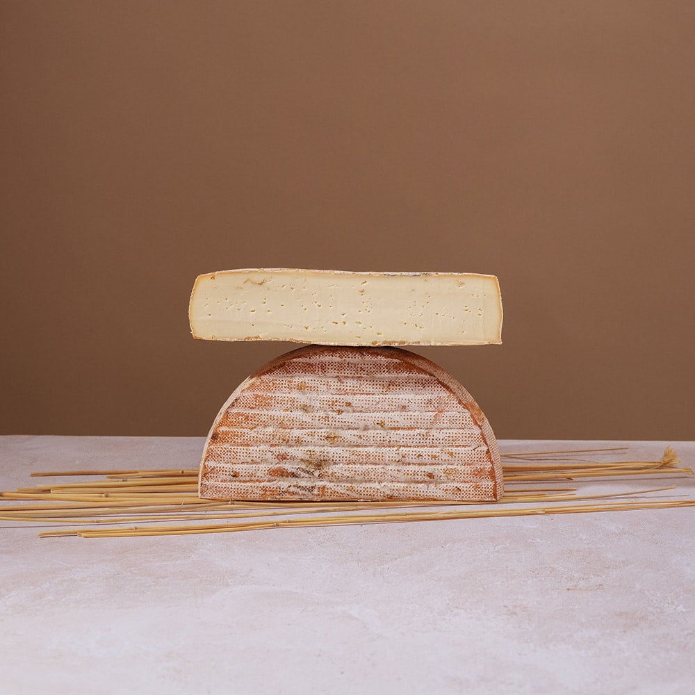 Saint-Nectaire dairy Paillon aged 5 weeks