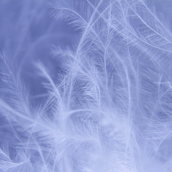 Jacquard Color Puffed Duvet