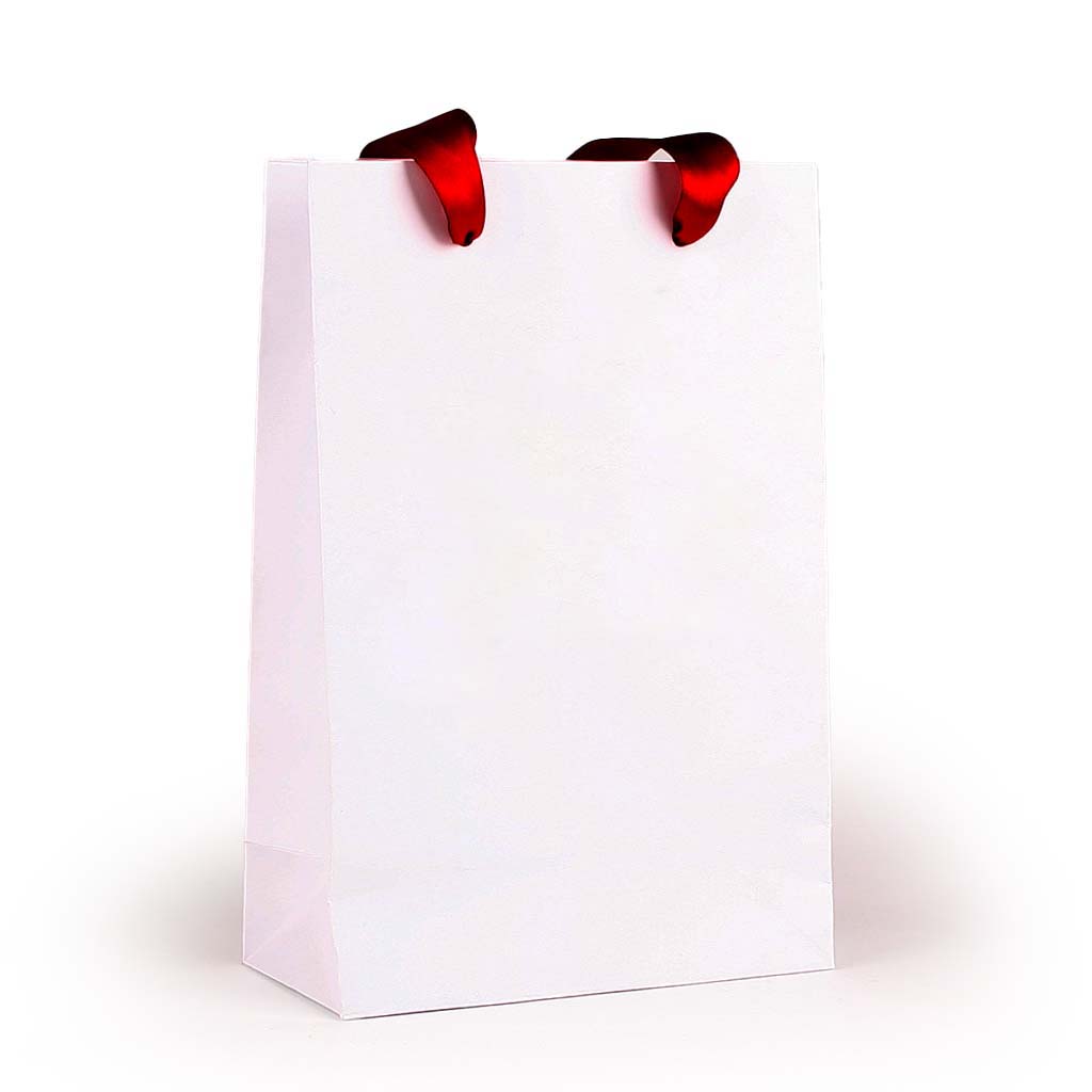 White Gift Bag