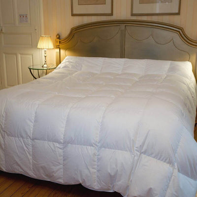 Pro - Couette Couple oie