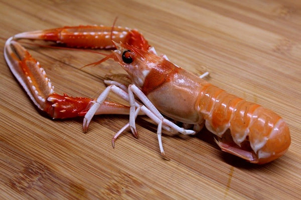 Lobster tail