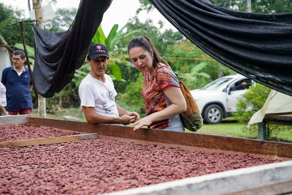 Gently Roasted Cocoa Beans Meta Weight: 750g