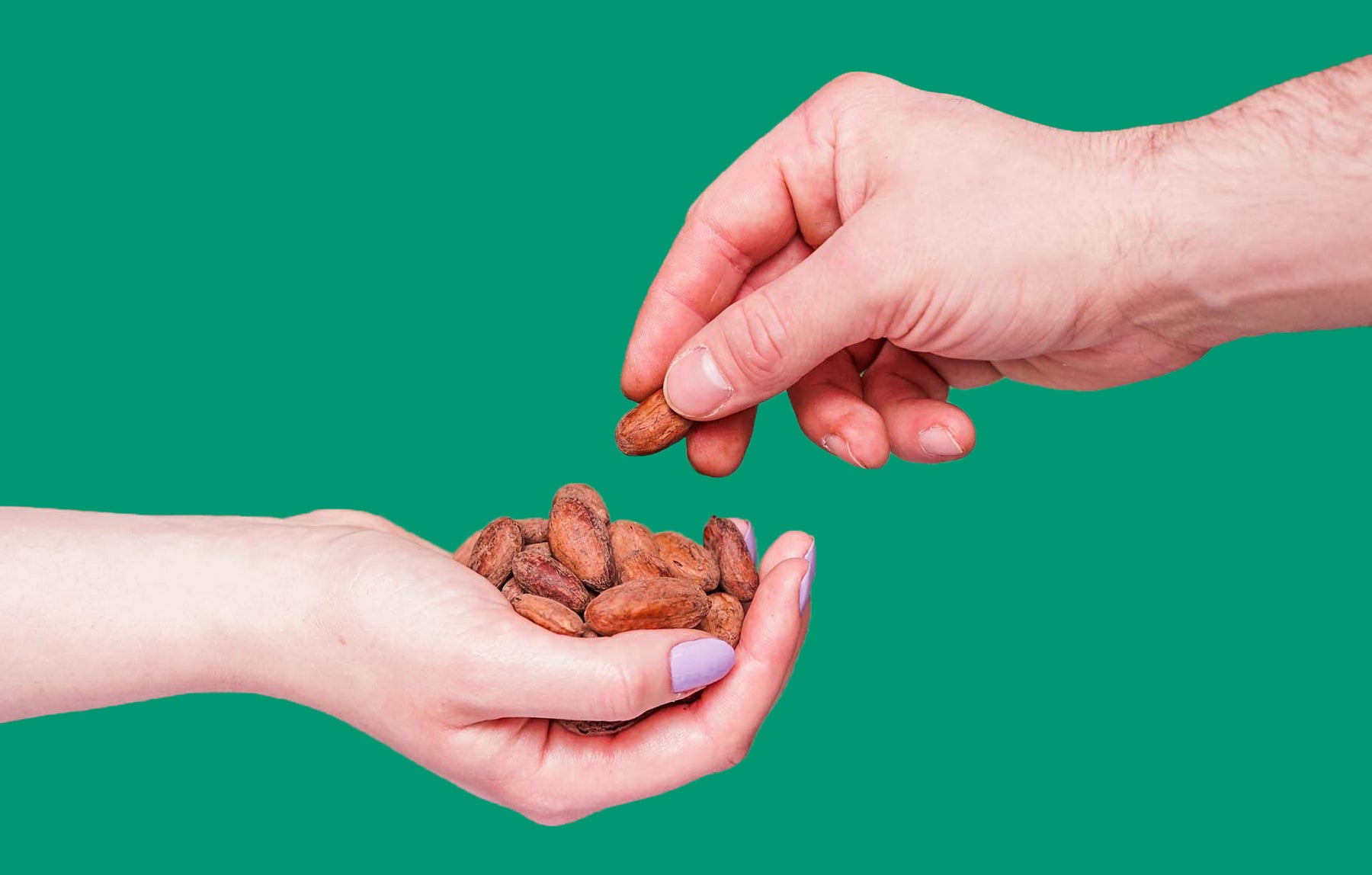 Gently Roasted Cocoa Beans Meta Weight: 750g