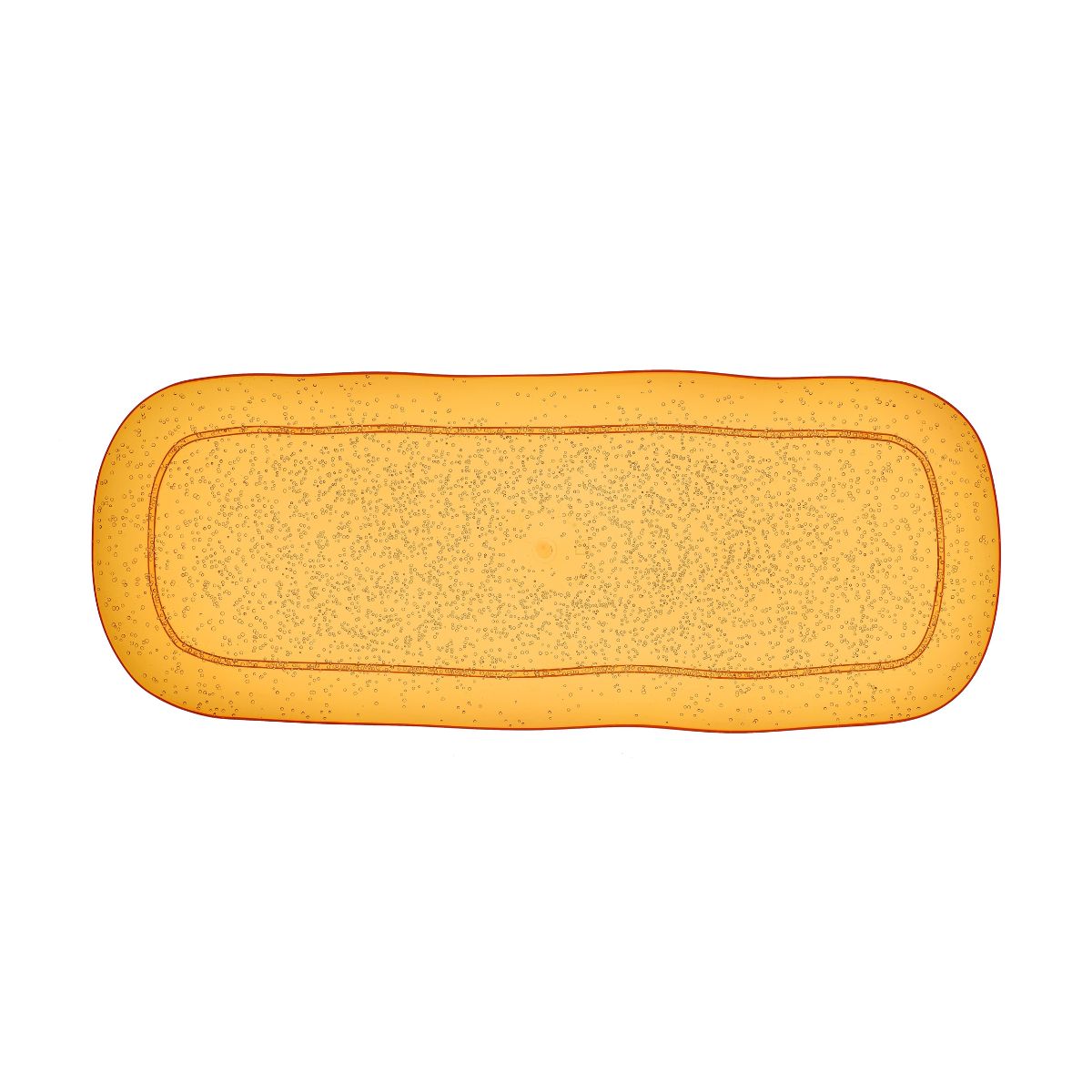 LARGE RECTANGULAR TRAY - MANDARIN - MEMENTO SYNTH