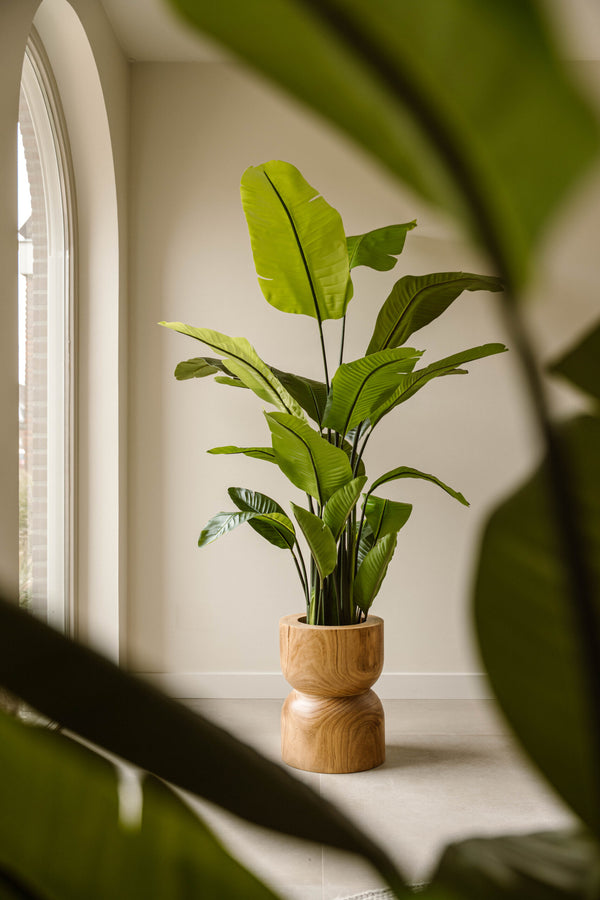 Artificial Plant Strelitzia 220 cm - Large Tropical Statement Indoor Plant - Indore Home