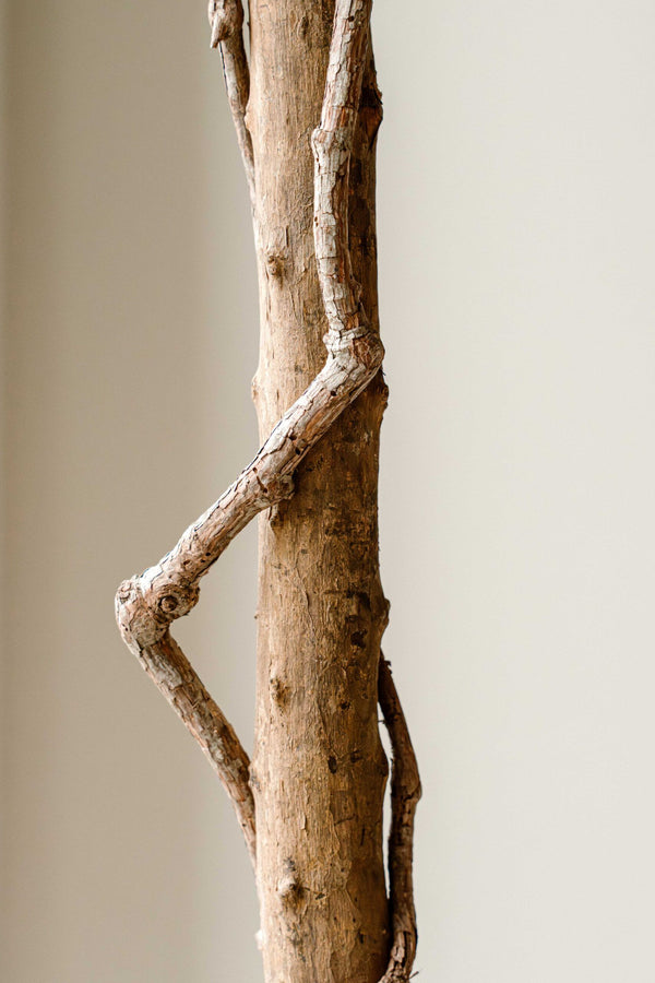 Kunst Olijfboom 190 cm – Mediterrane Olijfboom Kunstplant – Grote Kamerplant – Indore Home