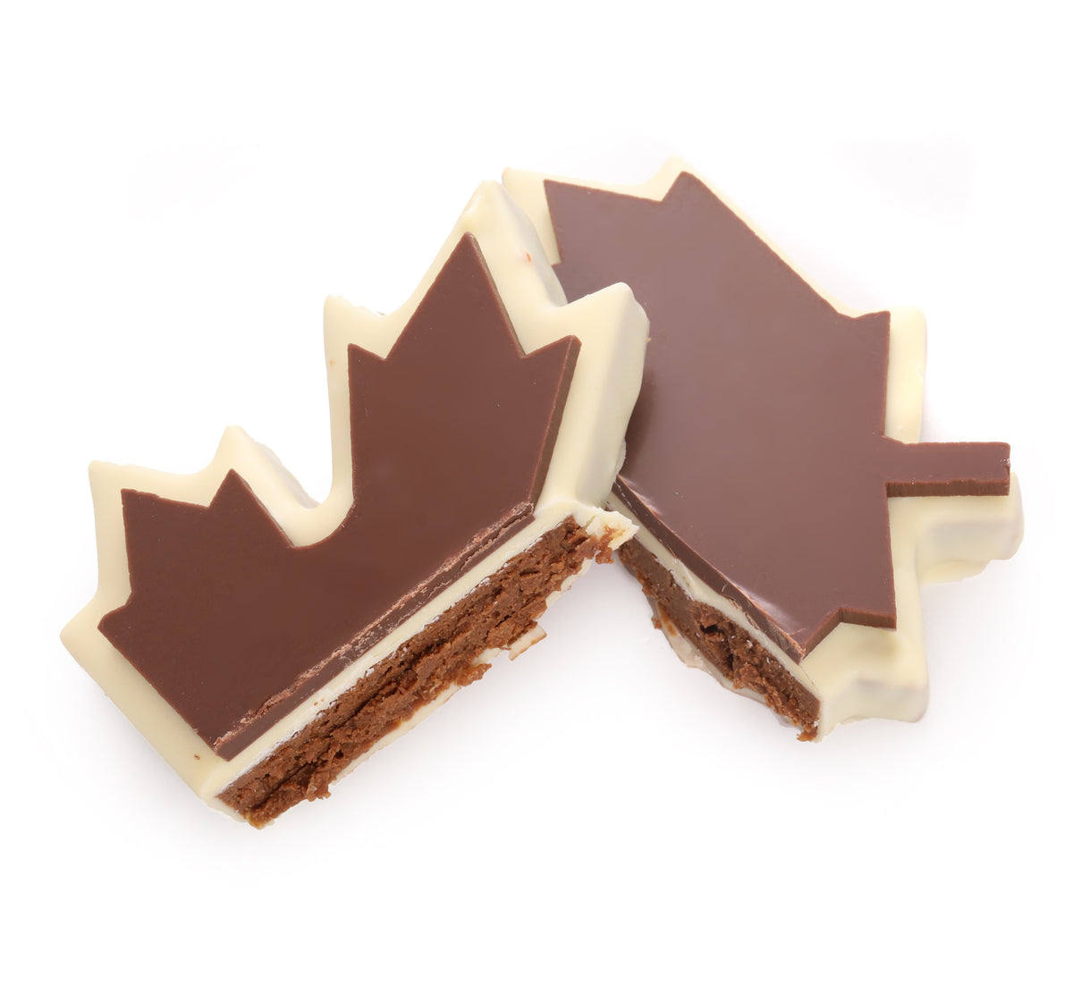 Chocolate Maple Leaf