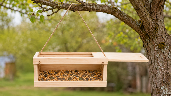 Eco Gift Set: Czech Honeys Elisa in a Bird Feeder