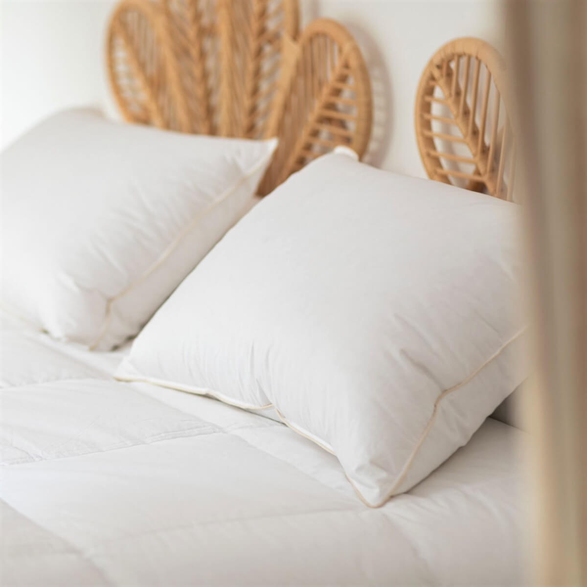 Organic and Ecological Pillow 90% Down