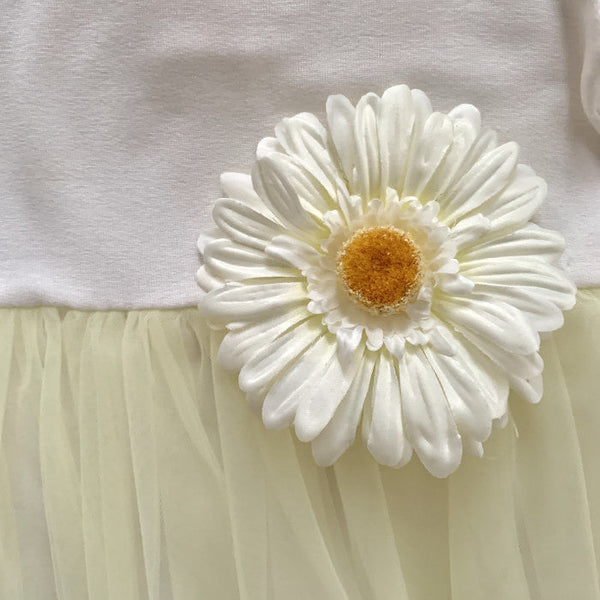 DAISY JURK