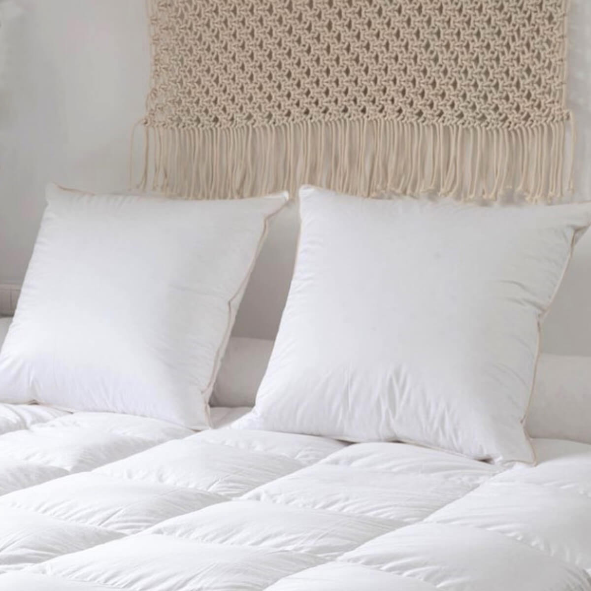 Organic and Ecological Pillow 90% Down