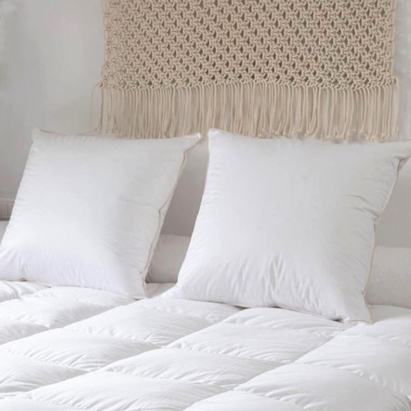 Organic and Ecological Pillow 90% Down