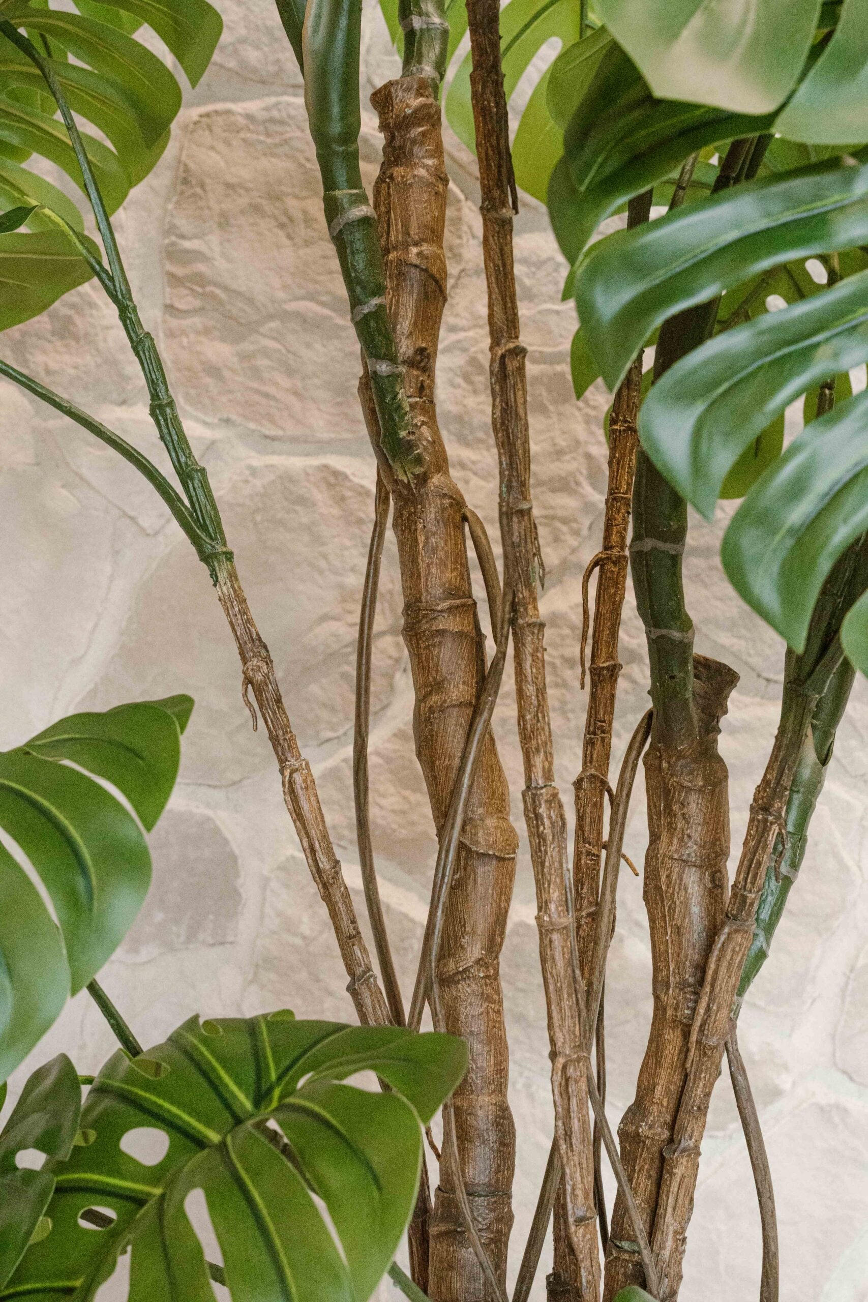 Artificial Plant Monstera 240 cm – Extra Large Hole Plant – Tropical Indoor Plant for High Ceilings – Indore Silva